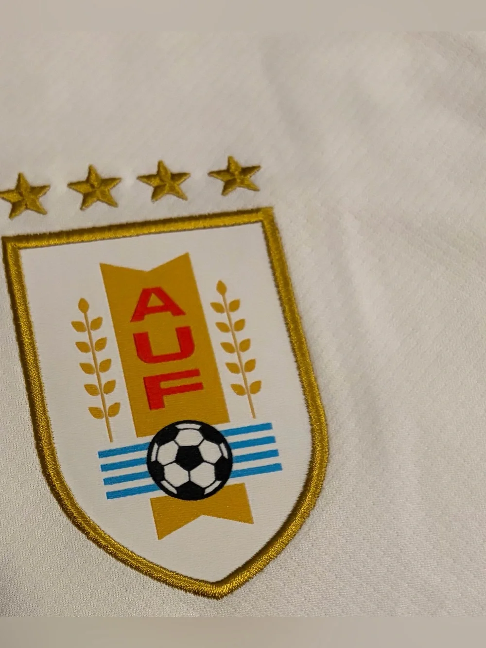 Nike Authentic Uruguay National Team 2024/25 Soccer IM8582-100 Jersey Men’s Sz L